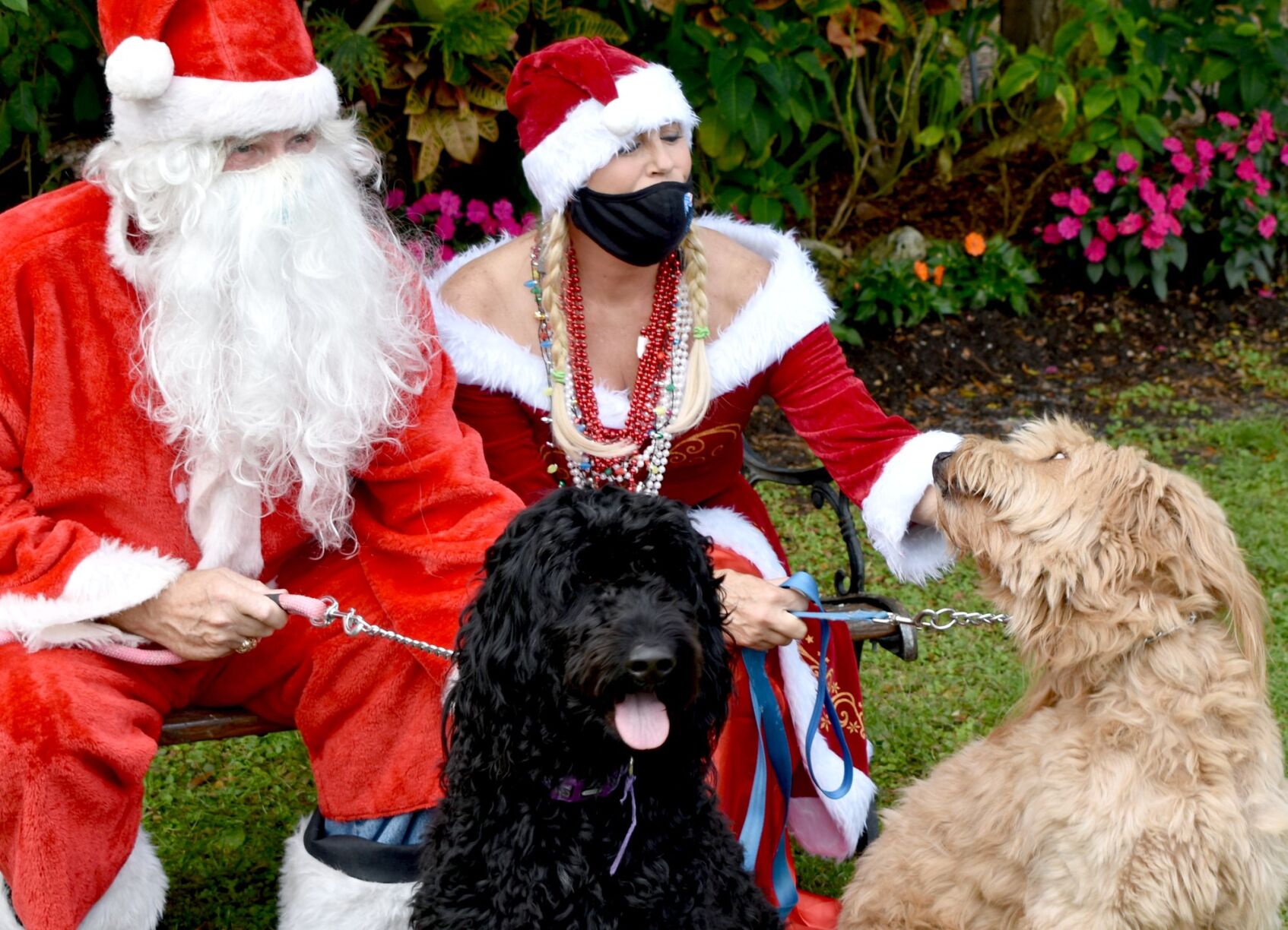 Punta Gorda History Park hosts Santa Paws in the Park